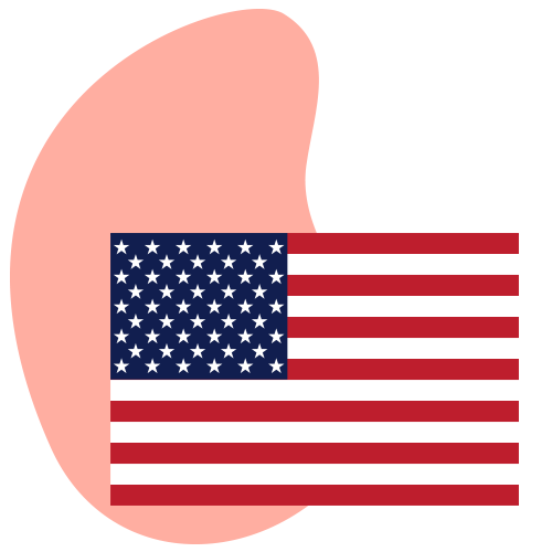 bandiera degli Stati Uniti
