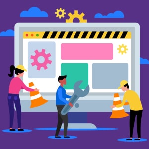Enhancement of Inspection Management Portal
