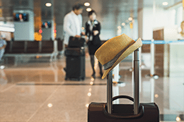 wp-dev-Travel-&-Hospitality