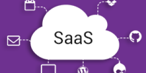 Case study on SAAS Application
